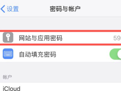 苹果储存密码在哪里查看第3步