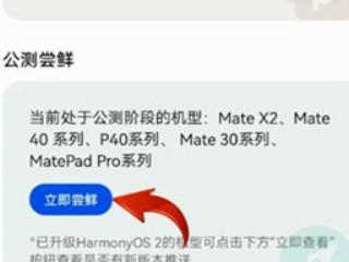 华为mate30怎么升级鸿蒙系统第3步