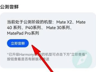 华为mate30pro鸿蒙系统怎么升级第1步