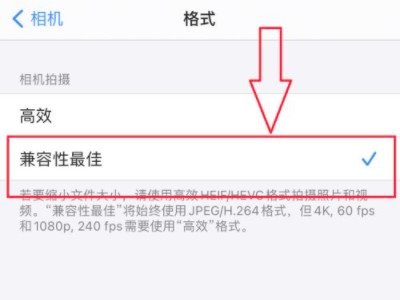 苹果手机上图片转换jpg格式第4步