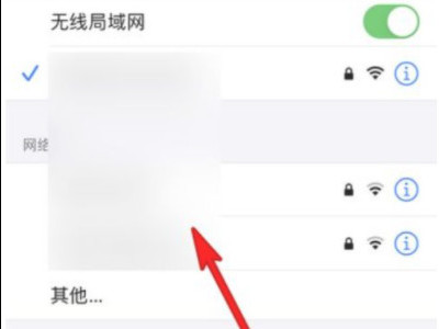 苹果手机连不上Wi-Fi第3步