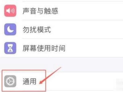 ios14设备管理信任不见了第2步