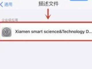ios14设备管理信任不见了第4步