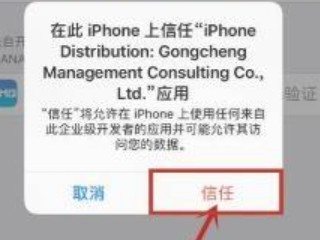 ios14设备管理信任不见了第5步