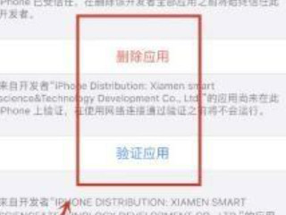 ios14设备管理信任不见了第7步