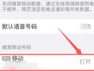 苹果主号副号怎样设置第2步