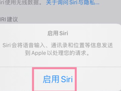 问siri只有文字不出声音了第4步