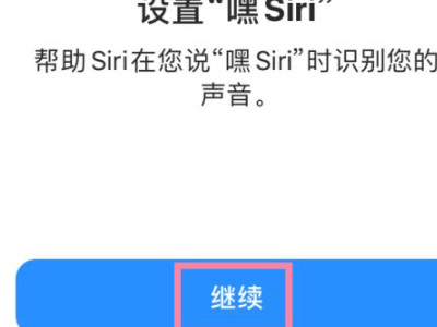 问siri只有文字不出声音了第5步