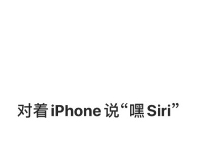问siri只有文字不出声音了第6步