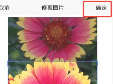 vivo怎么用相册做锁屏第6步