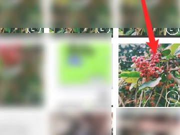 手机照片去水印无痕迹第2步