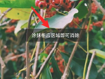 手机照片去水印无痕迹第5步