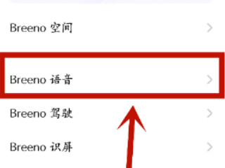 为什么oppo小布叫不出来第3步
