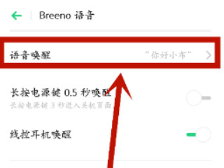 为什么oppo小布叫不出来第4步