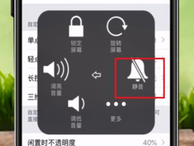 苹果手机静音键坏了怎么调静音第7步