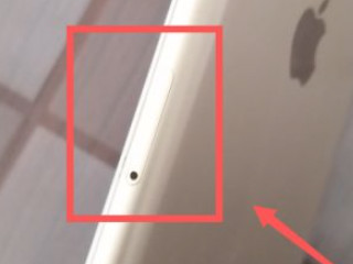 苹果卡槽用针打不开怎么办第2步