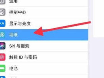 ipad壁纸怎么自己设置第2步