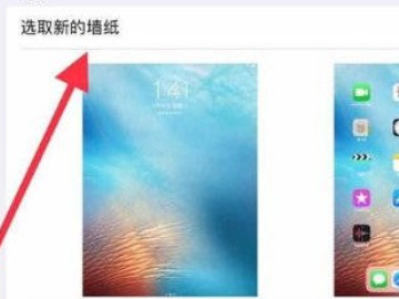 ipad壁纸怎么自己设置第3步
