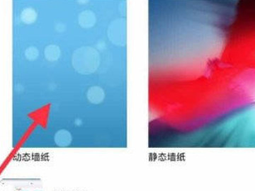 ipad壁纸怎么自己设置第4步