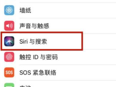 苹果手机怎么语音唤醒siri第2步