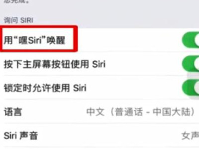苹果手机怎么语音唤醒siri第3步