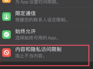 iphone8访问限制不见了第3步
