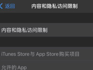 iphone8访问限制不见了第4步