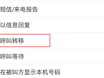 苹果手机的呼叫转移在哪里第3步