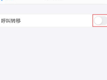 苹果手机的呼叫转移在哪里第4步