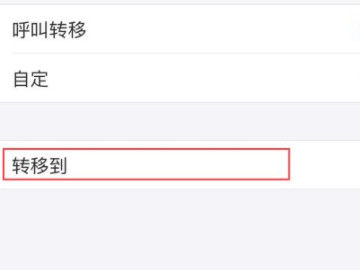 苹果手机的呼叫转移在哪里第5步