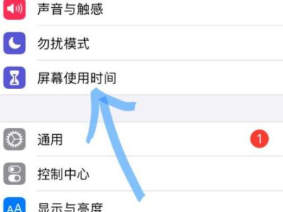 苹果手机突然不能照相了第1步