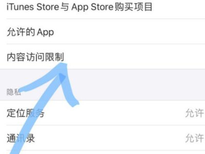 苹果手机突然不能照相了第3步