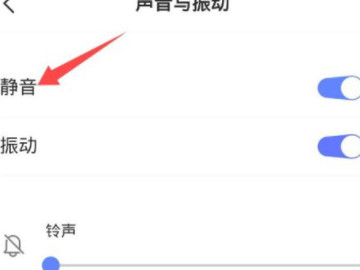 vivo删除照片声音关闭第4步