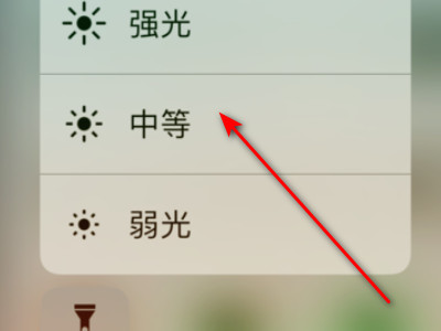 苹果x锁屏手电筒怎么开第4步