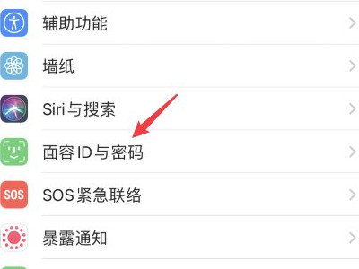 ios14 密码选项没有4位第2步