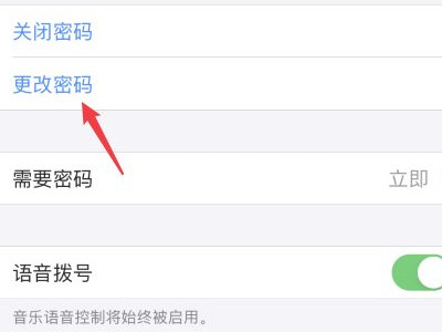 ios14 密码选项没有4位第4步