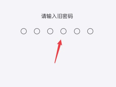 ios14 密码选项没有4位第5步