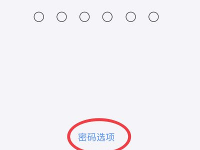 ios14 密码选项没有4位第6步