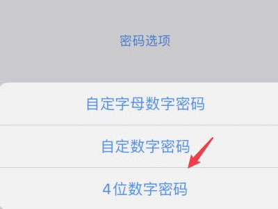 ios14 密码选项没有4位第7步