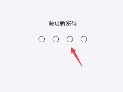 ios14 密码选项没有4位第8步