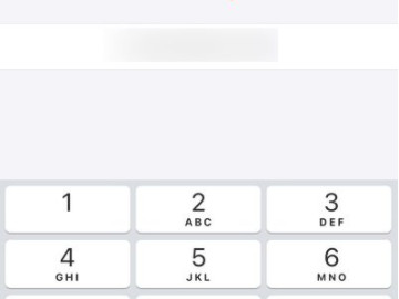 苹果手机怎么看本机号码多少第4步