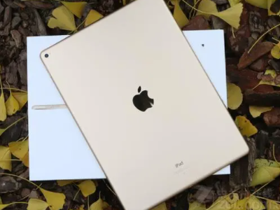 ipad突然充不进电第5步