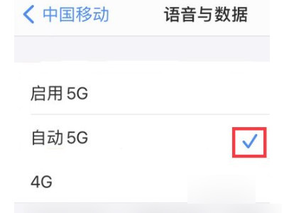 苹果125g手机怎么用5g网络第5步