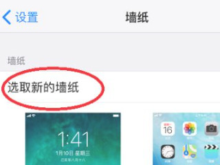 苹果手机怎样换主题壁纸第3步