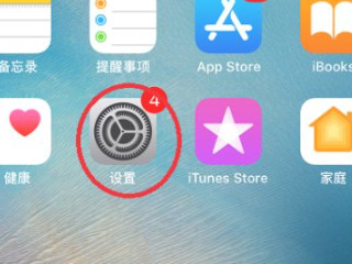 苹果手机如何换壁纸主题第1步