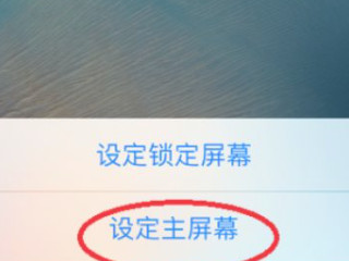 苹果手机如何换壁纸主题第8步