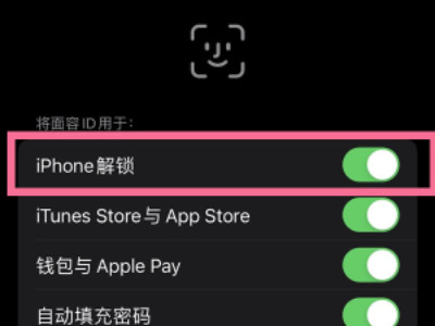 苹果面容解锁后直接进入桌面第3步