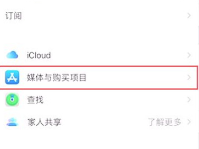 苹果购买记录里待处理怎么办第2步