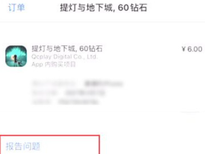 苹果购买记录里待处理怎么办第5步