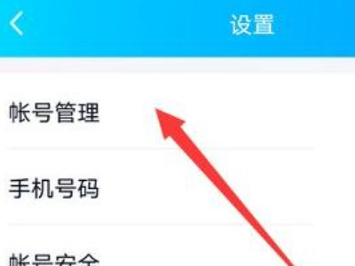 苹果12qq怎么显示手机型号第2步